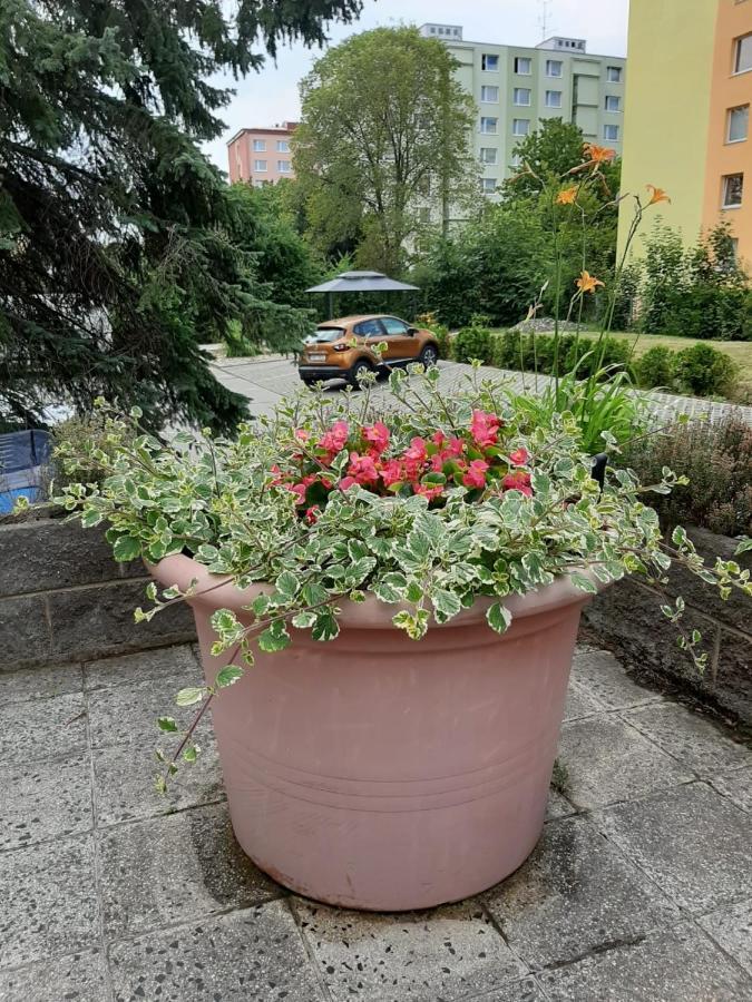 Kvetinovy Apartman A3B V Chomutove Exteriör bild